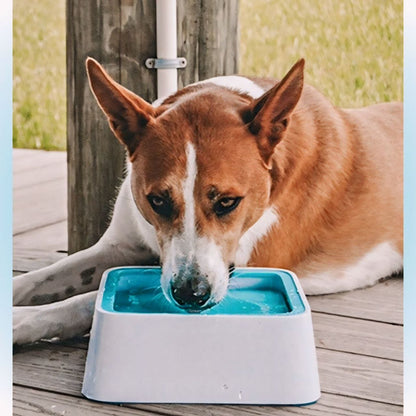 Vordila Dog Water Bowl