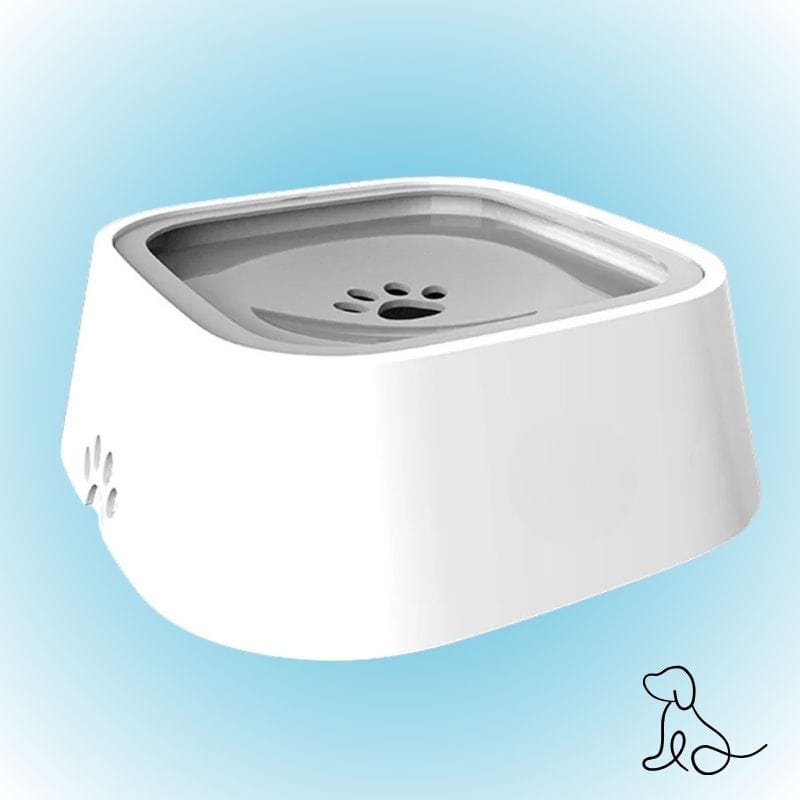 Vordila Gray Dog Water Bowl