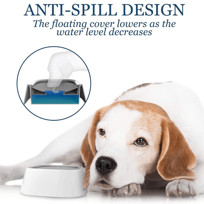 Vordila SplashGuard Water Bowl ™