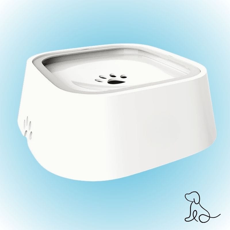 Vordila White Dog Water Bowl